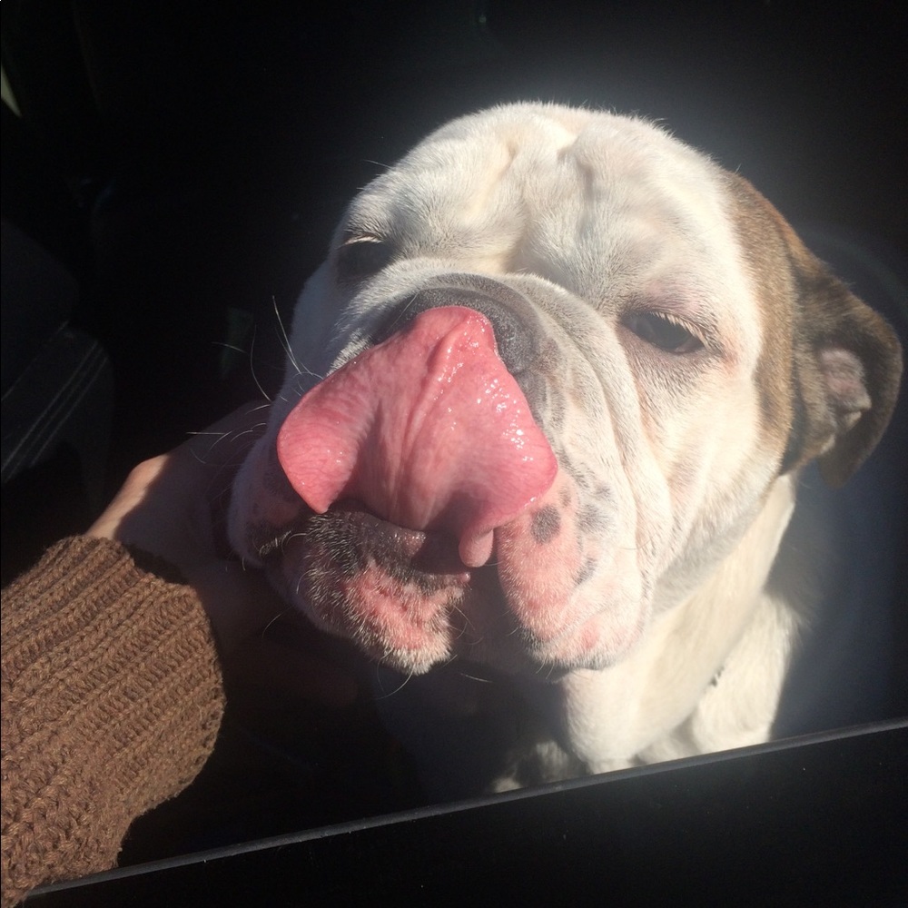 Meet your Posher, Cobey